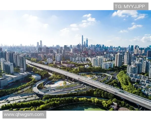 全面探索体育运动促进身心健康与社会活力持续发展的全景视角蓝图